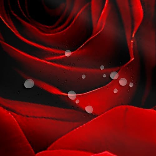 Red Rose Ombre Black Floral Shower Curtain Set 72x78