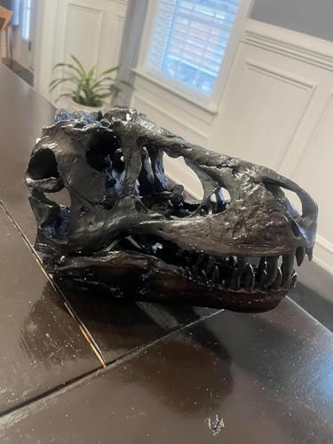 JOTNBOBO Dinosaur Skull Statue Black Replica