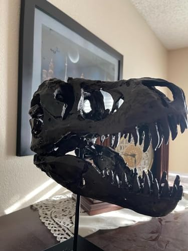 JOTNBOBO Dinosaur Skull Statue Black Replica