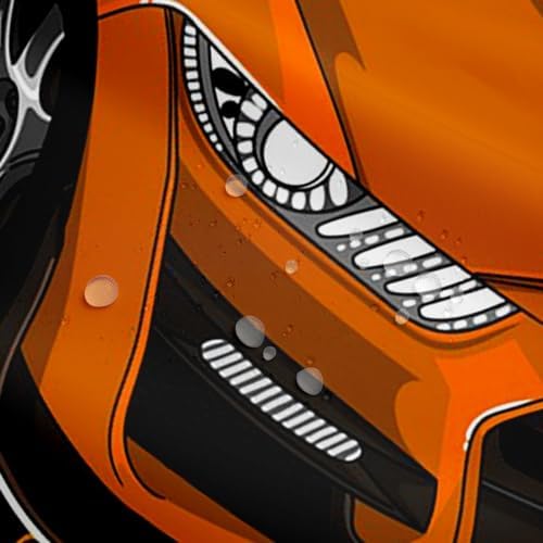 Erosebridal Race Car Shower Curtain Set for Boys Kids