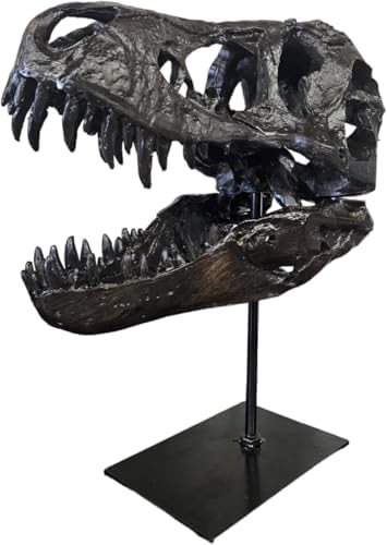 JOTNBOBO Dinosaur Skull Statue Black Replica