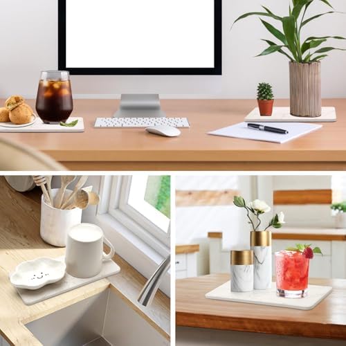 Deceram 2 Pcs Water Absorbing Ceramic Drying Trays