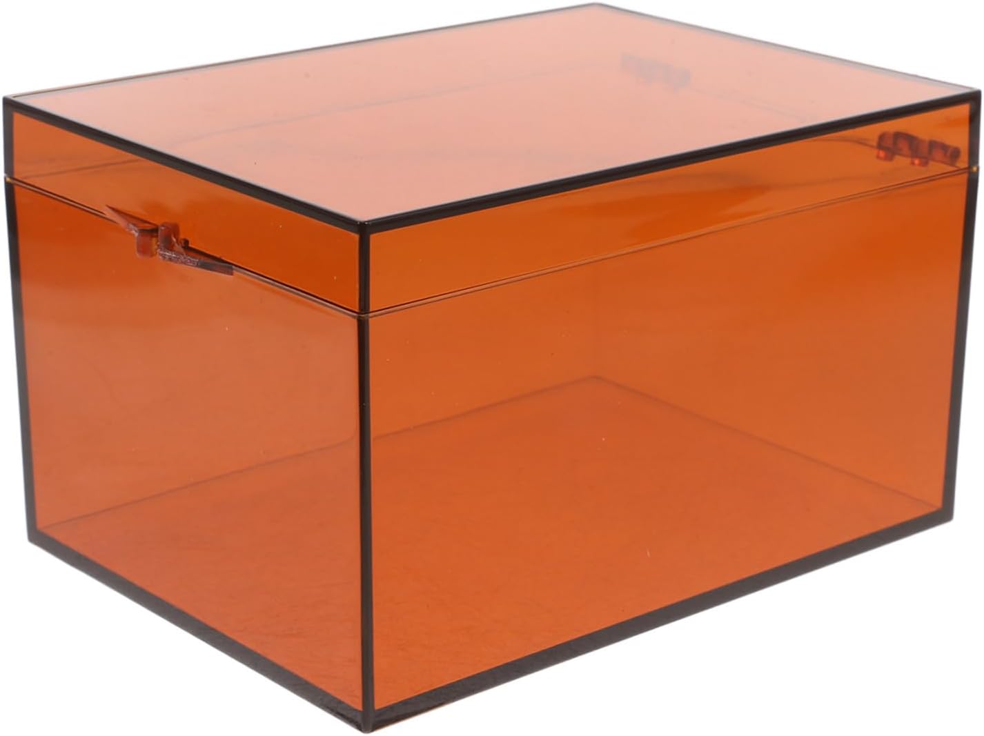 Anneome Medicine Box with Lid Large Acrylic Storage Organizer