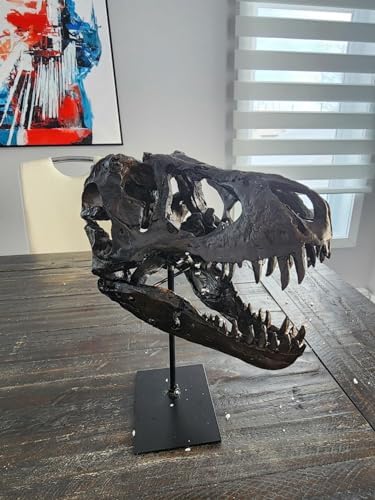 JOTNBOBO Dinosaur Skull Statue Black Replica