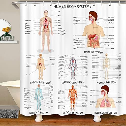 Erosebridal Educational Musculo Skeletal Pattern Shower Curtain Set 72x72