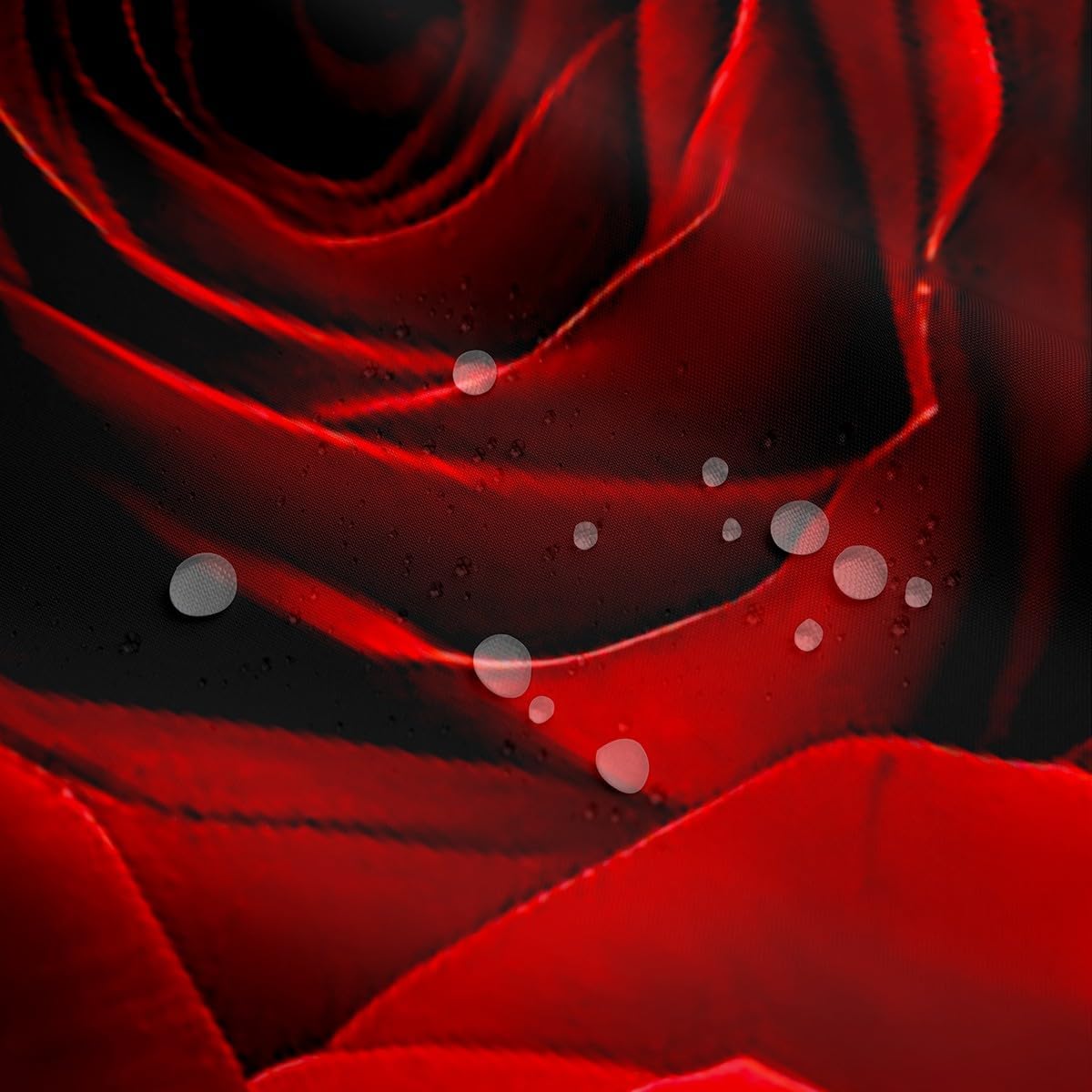 Red Rose Ombre Black Floral Shower Curtain Set 72x78