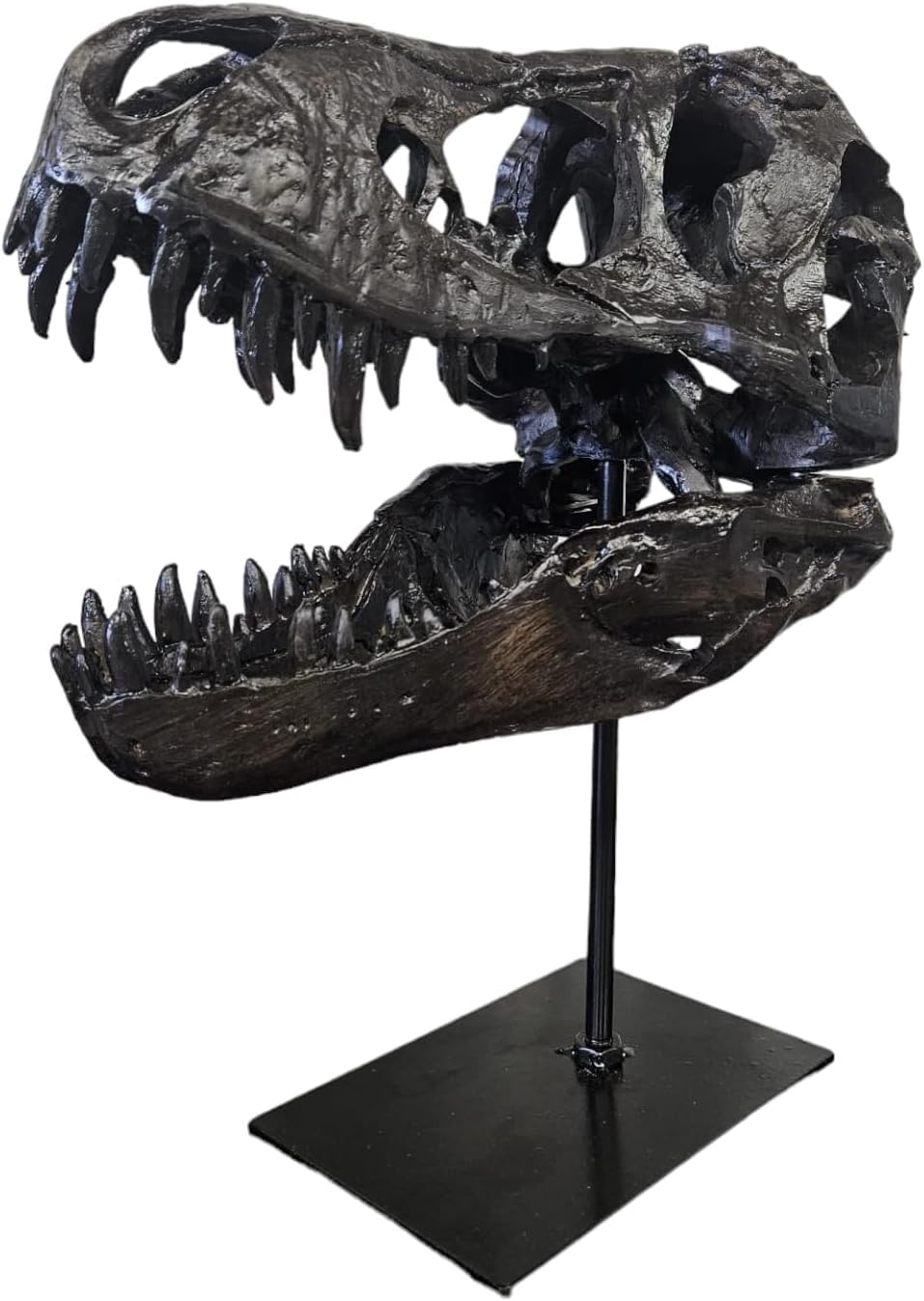 JOTNBOBO Dinosaur Skull Statue Black Replica
