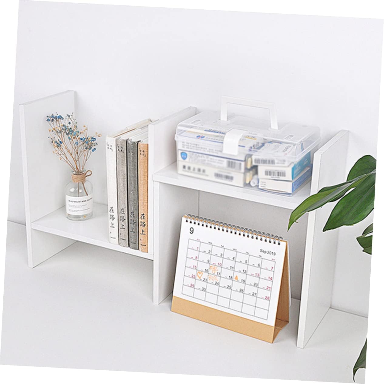 HAPINARY 2pcs Portable Medicine Cabinet Organizer with White Buckle Design