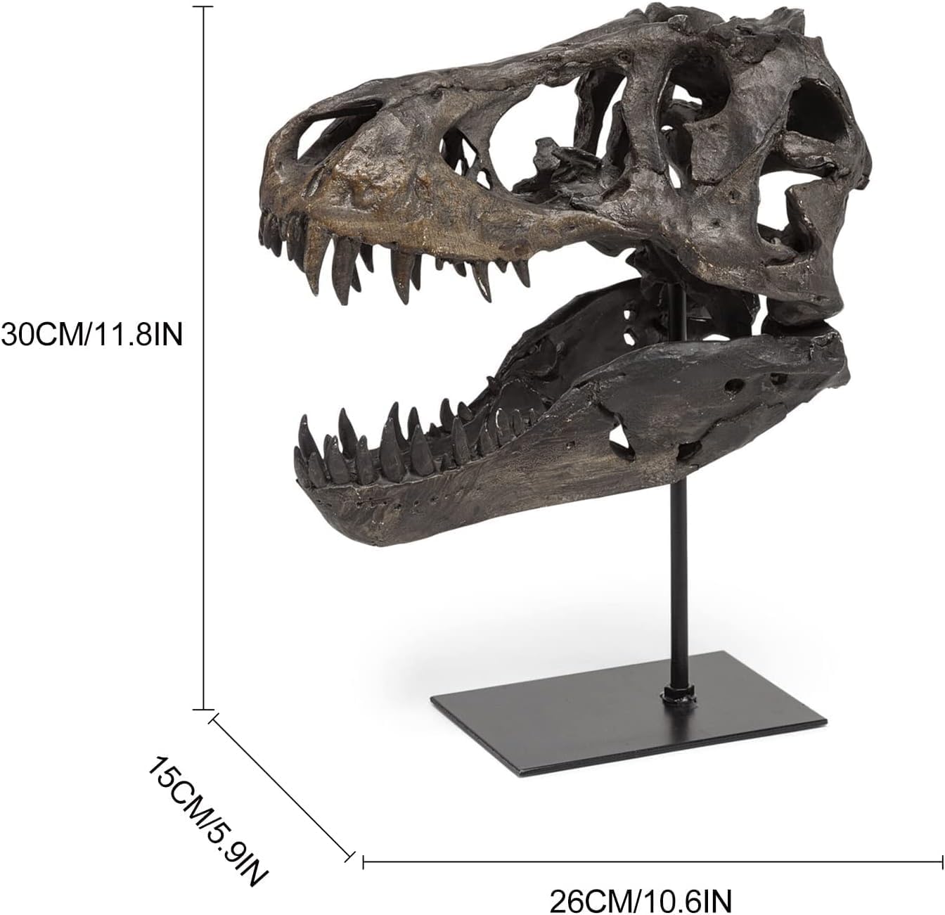 JOTNBOBO Dinosaur Skull Statue Black Replica