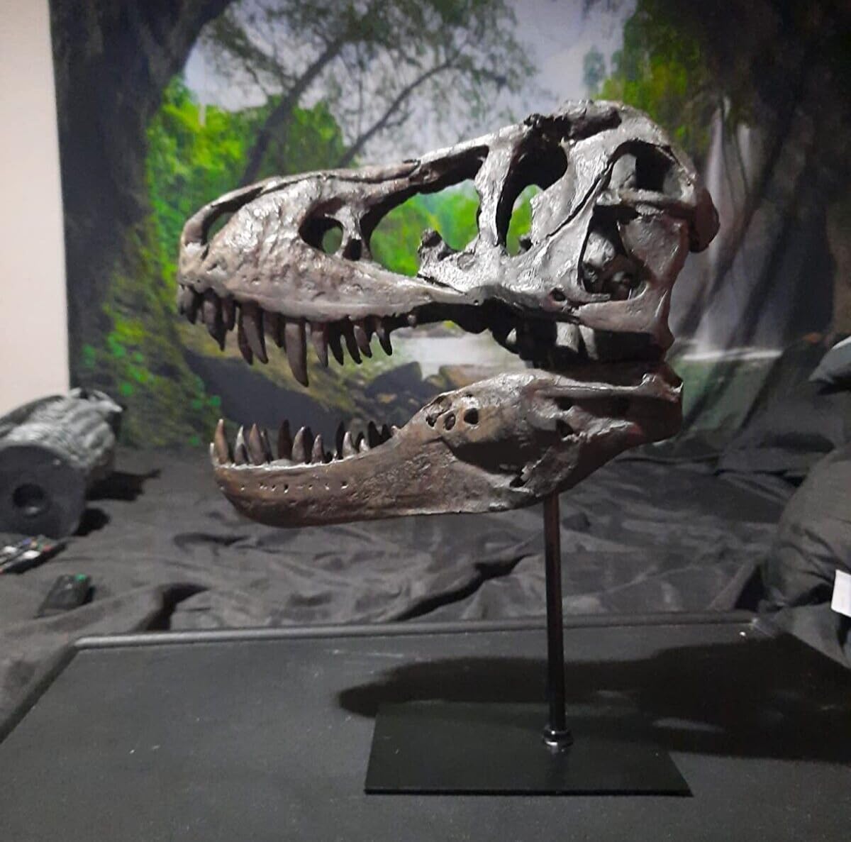 JOTNBOBO Dinosaur Skull Statue Black Replica