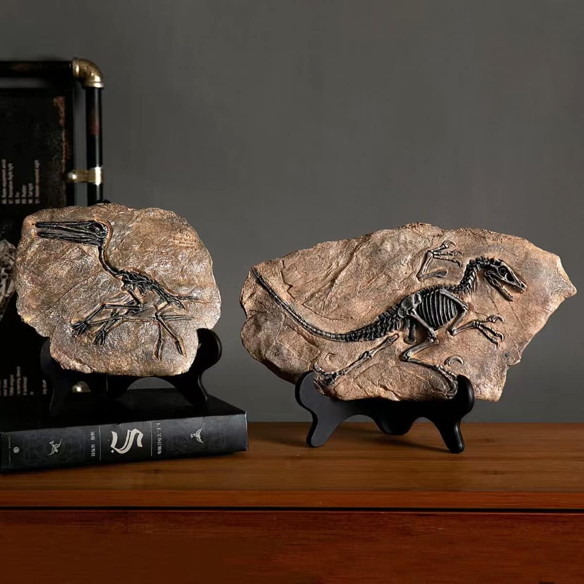 FUNSXBUG Resin Velociraptor Skeleton Statue