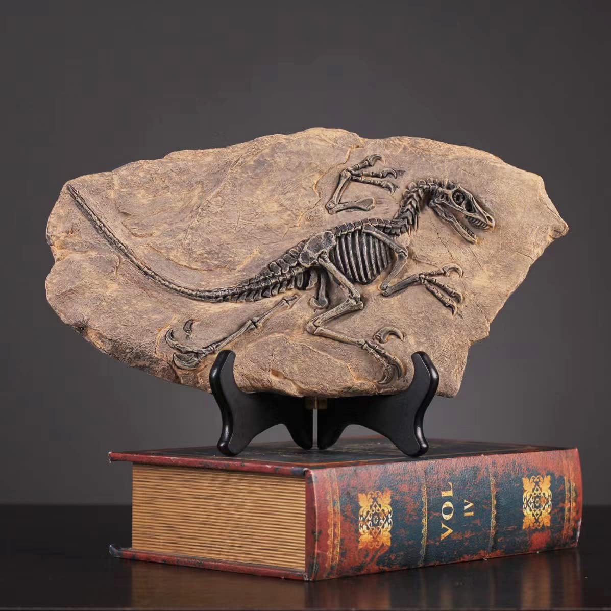 FUNSXBUG Resin Velociraptor Skeleton Statue
