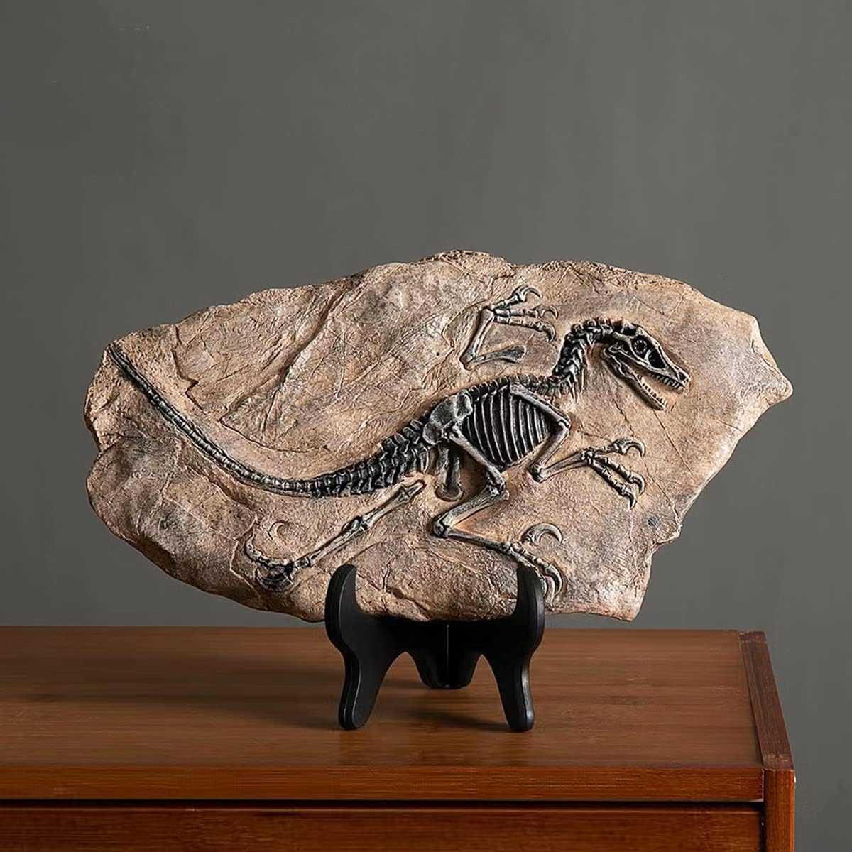 FUNSXBUG Resin Velociraptor Skeleton Statue
