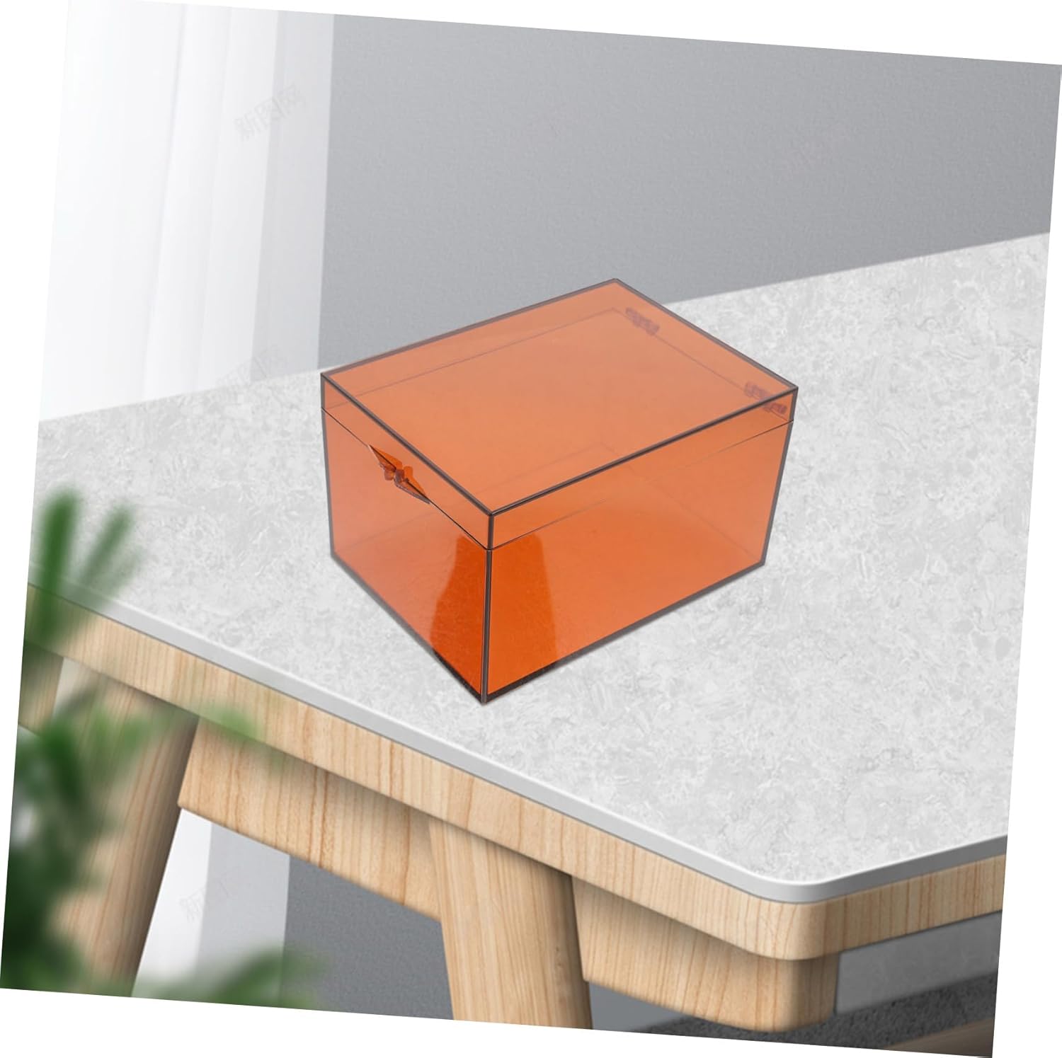 Anneome Medicine Box with Lid Large Acrylic Storage Organizer
