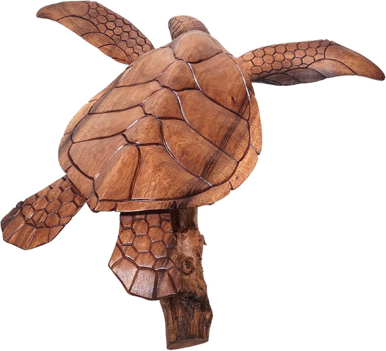 WorldBazzar Hand Carved Wood Turtle Coral Statue Brown