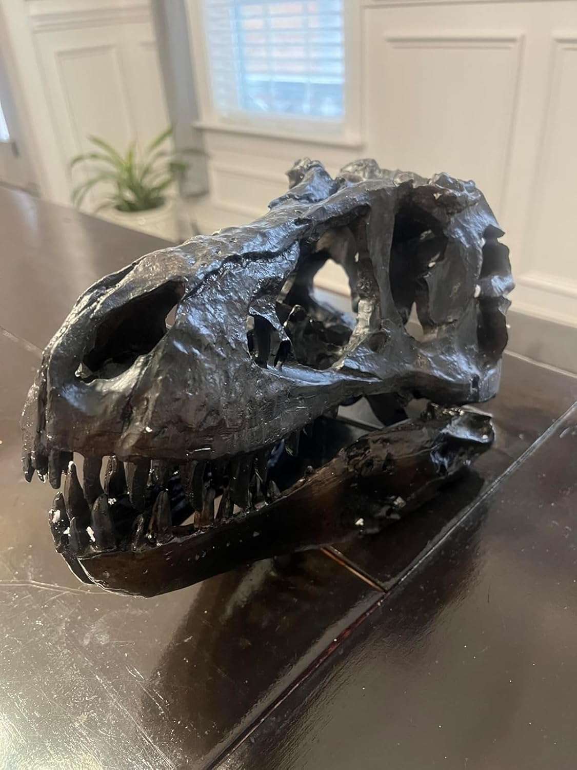 JOTNBOBO Dinosaur Skull Statue Black Replica